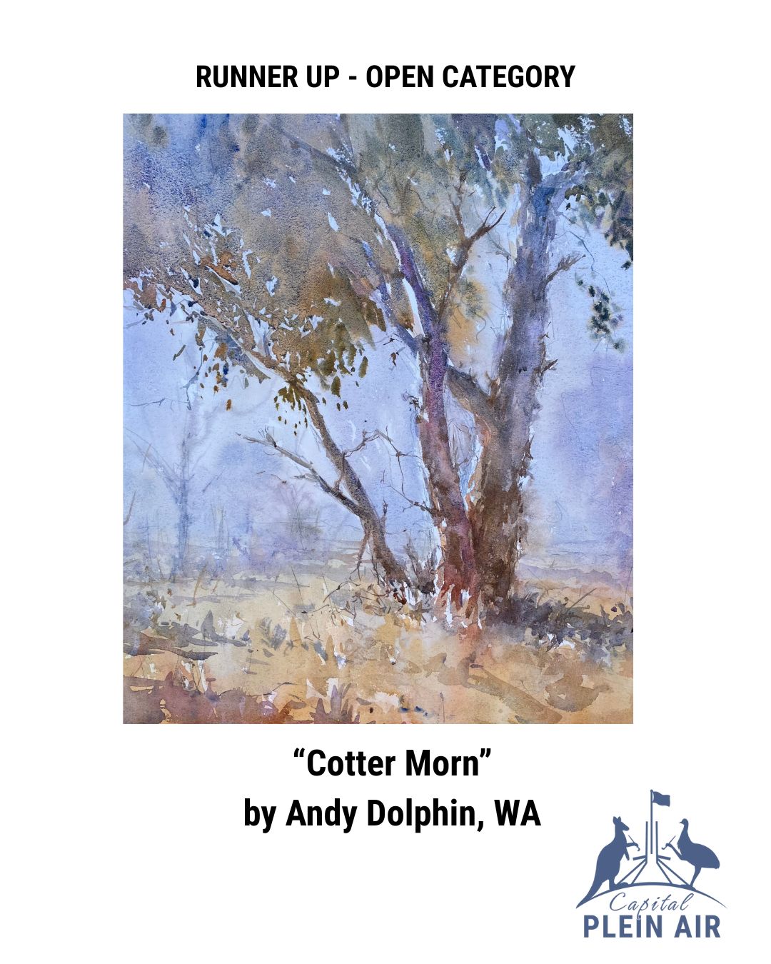 CotterMorn-AndyDolphin
